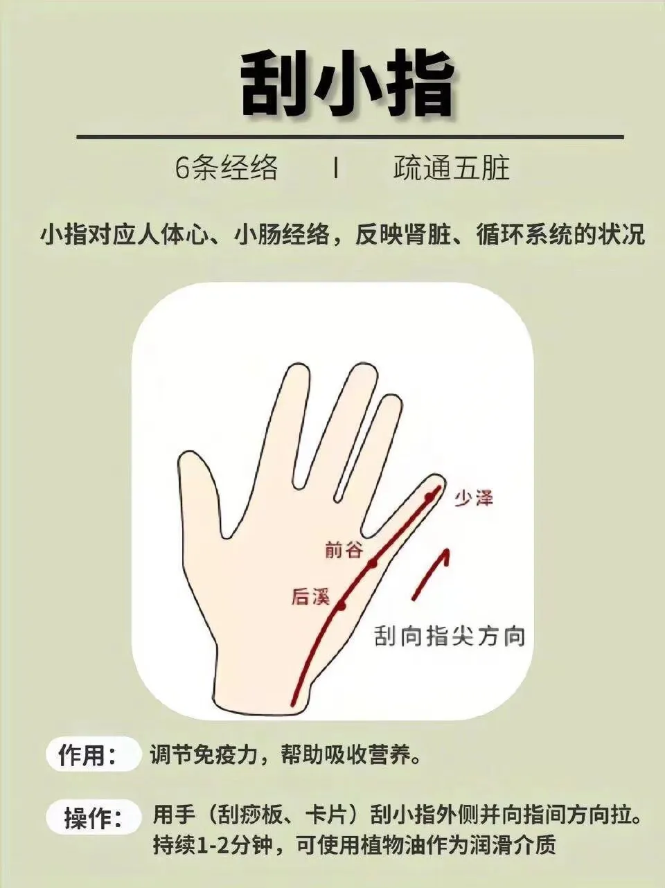 1000288380.webp
