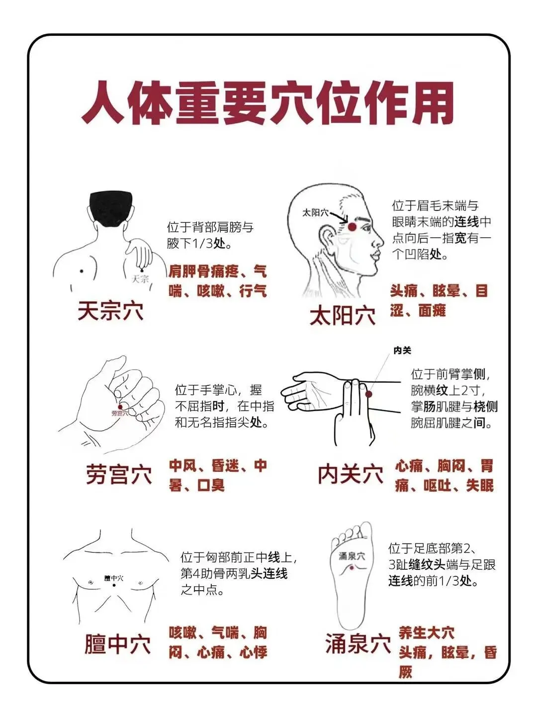 1000288425.webp