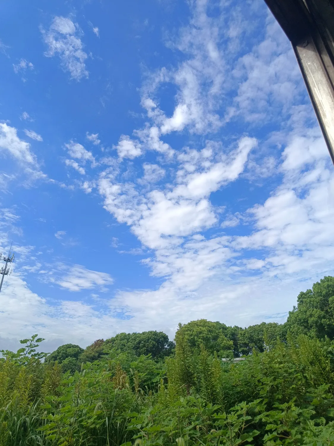1000370037.webp