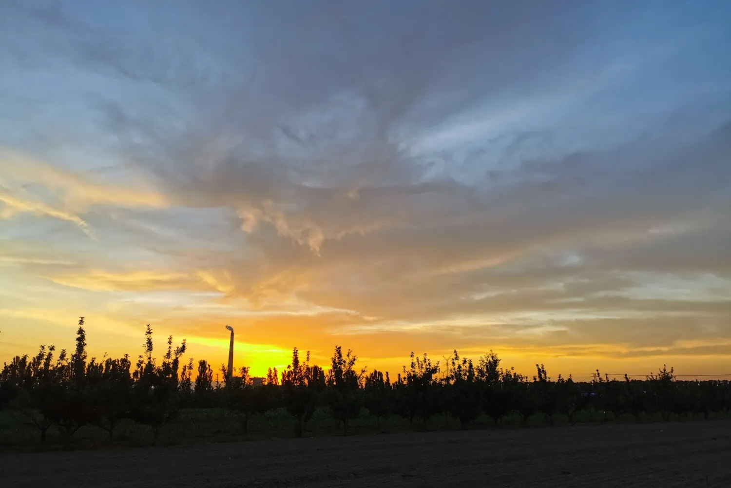 IMG_20241109_203216.webp