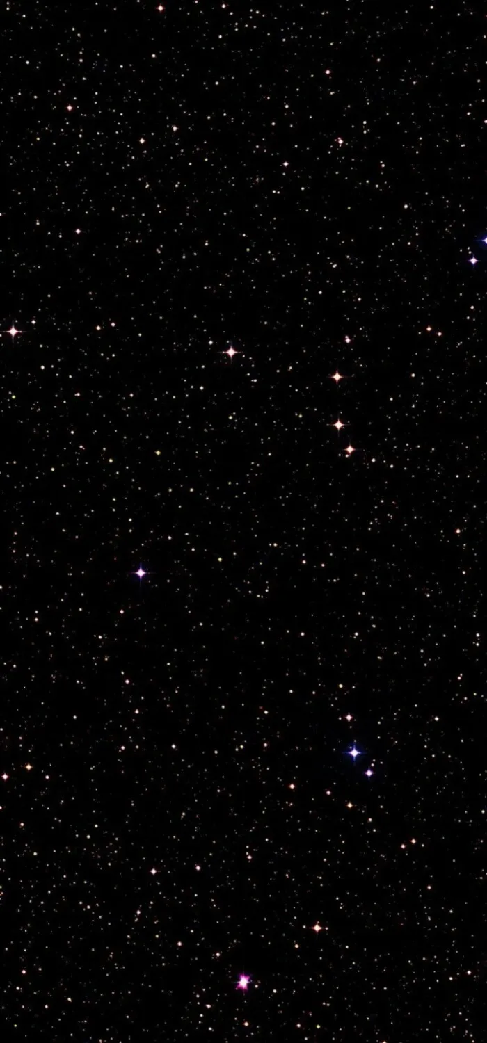 230.webp