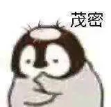 QQ图片20240422203533.webp