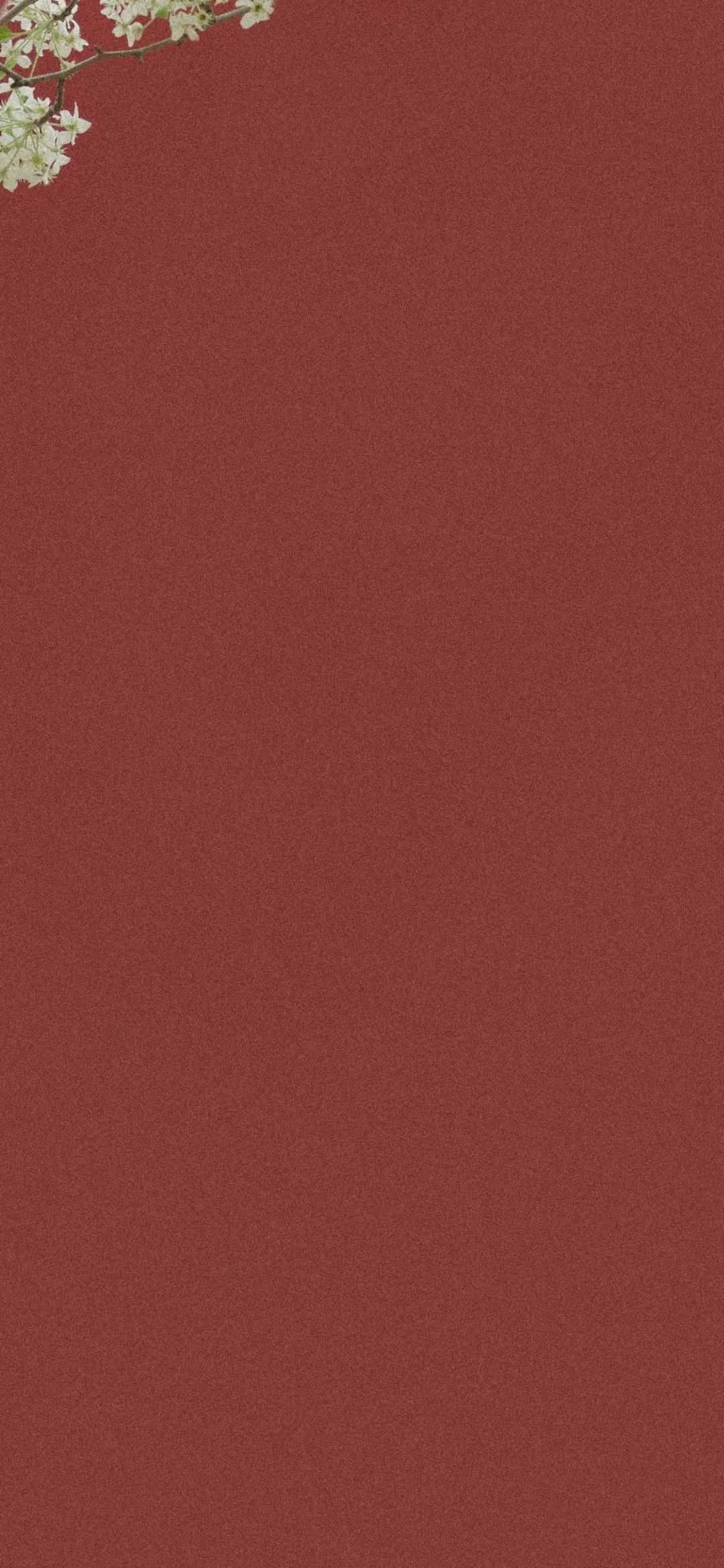1000024019.webp