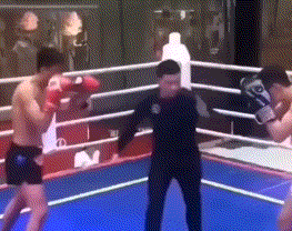 拳击擂台上裁判：不好冲我来的.gif