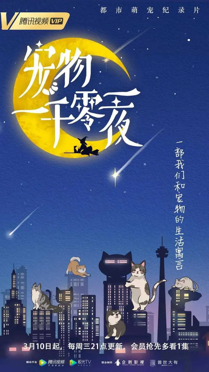 1000123319.webp