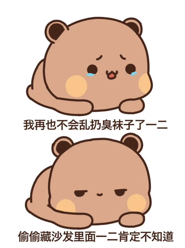 搜图神器_1732184854625.webp