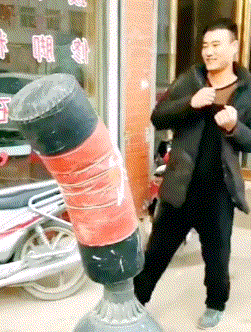 街头拳王打不着拳法，靶子硬控人类.gif
