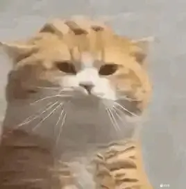 1707673944285.webp