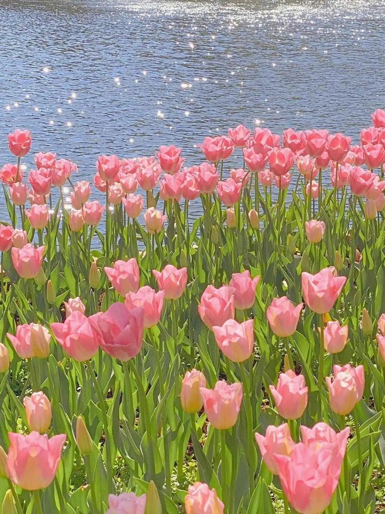 f245696ae41933d6.webp