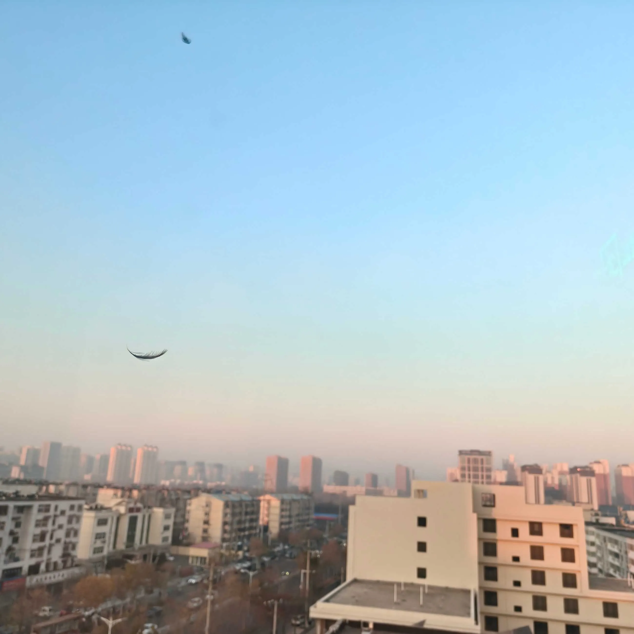 1000011781.webp