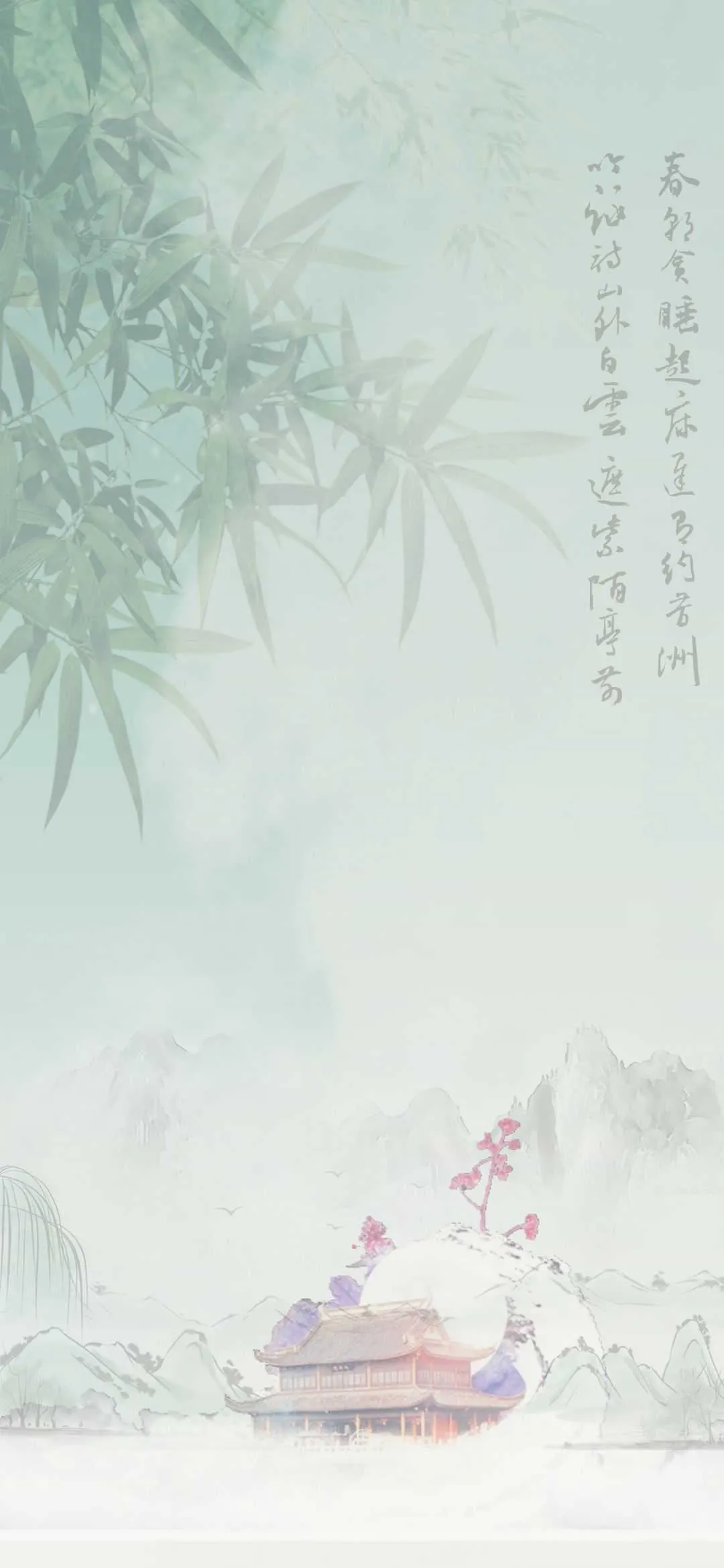1000037384.webp