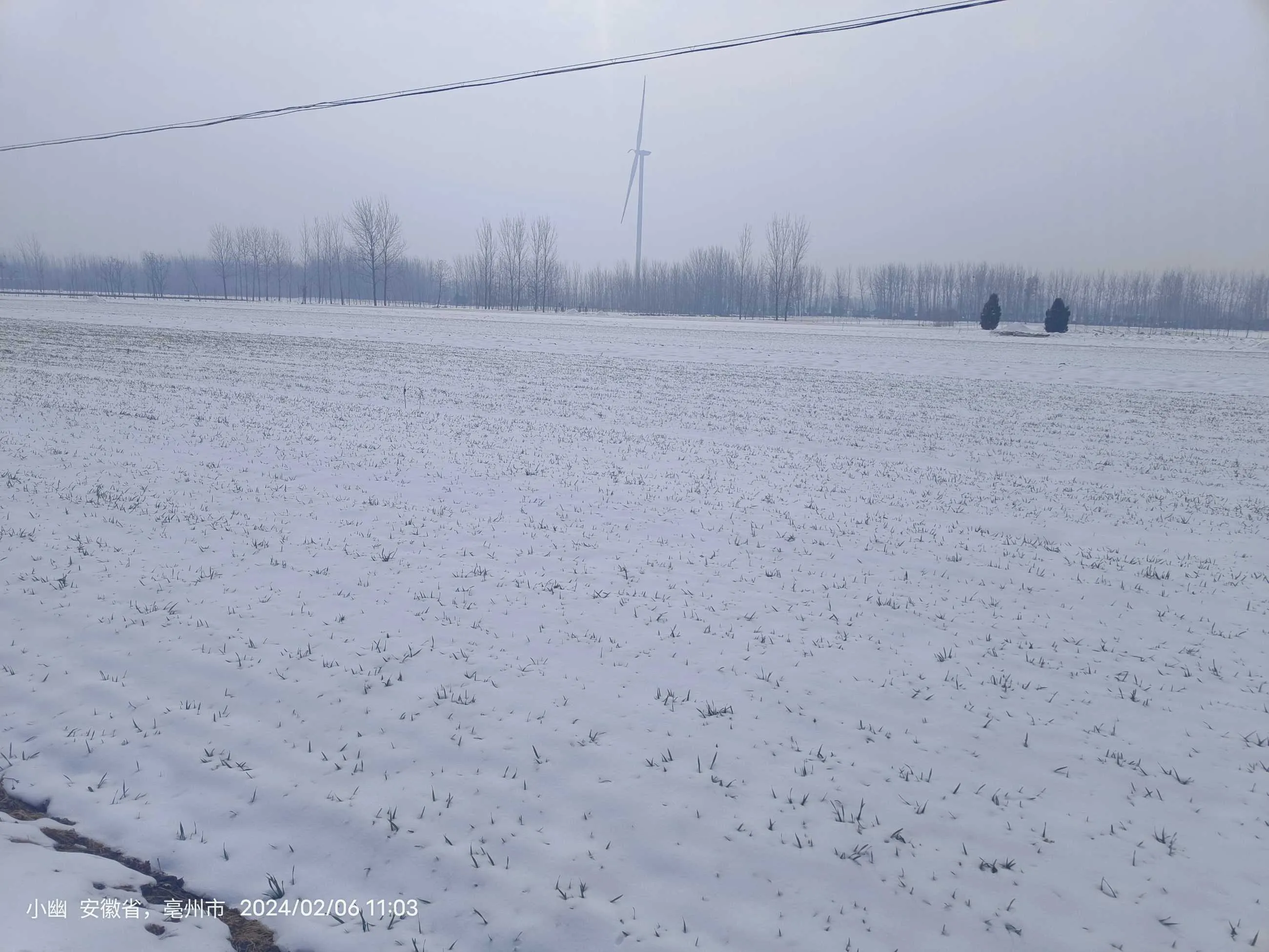 1000330978.webp