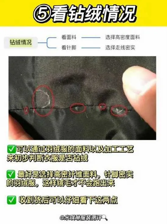 1000003849.webp