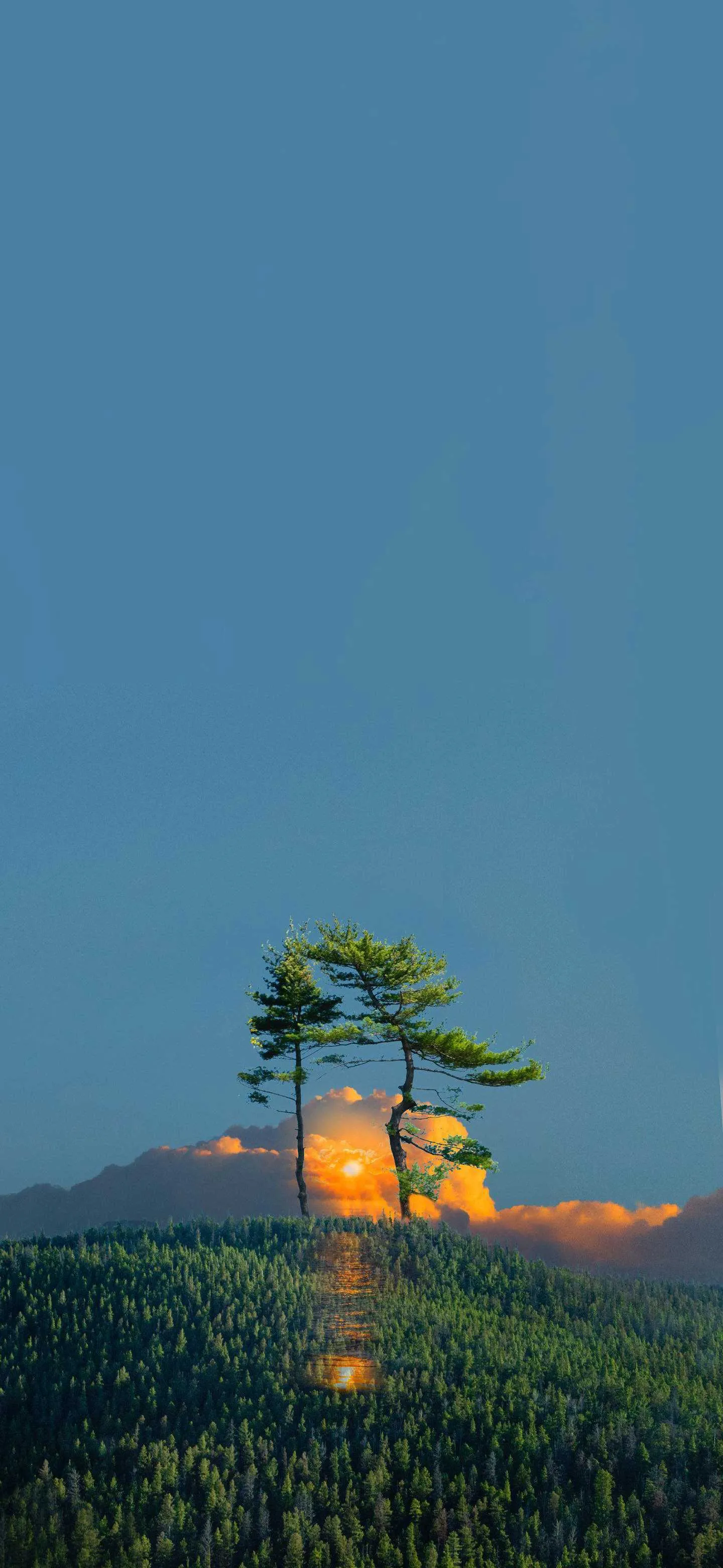 搜图神器_1734015711755.webp