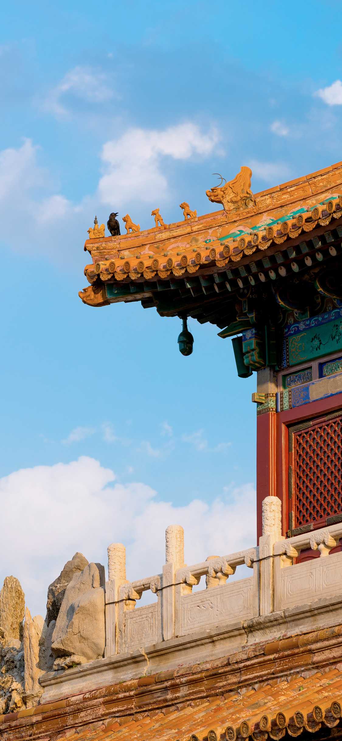 搜图神器_1734099725339.webp
