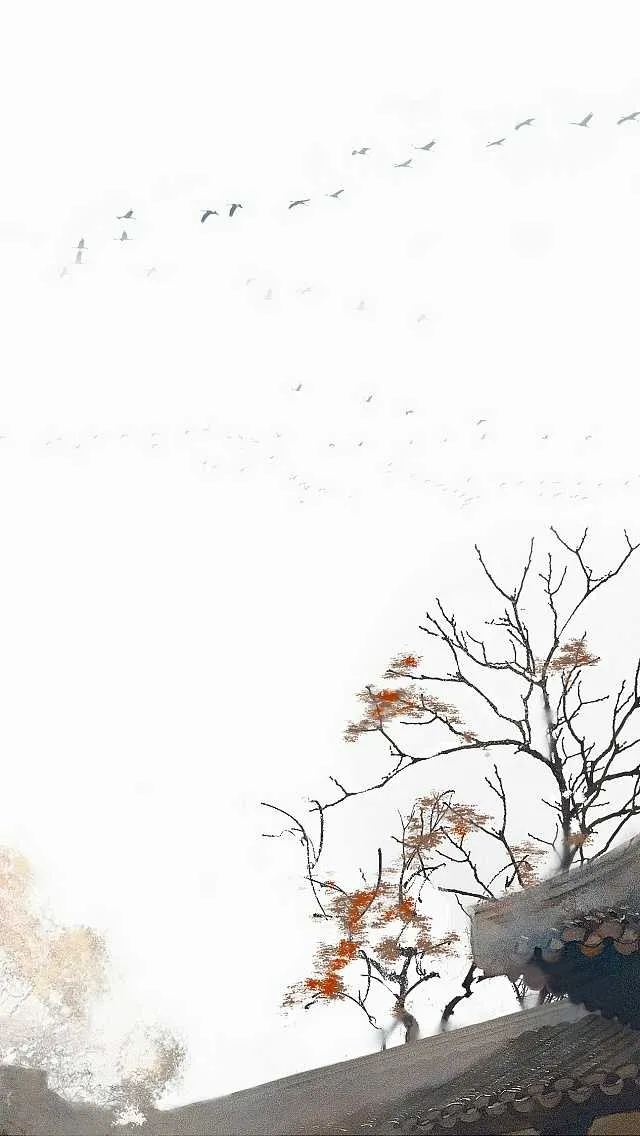 搜图神器_1734264348981.webp