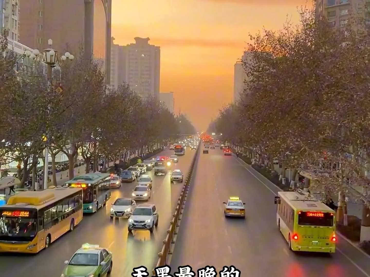 1000012742.webp