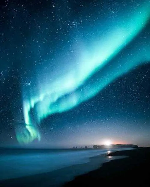 1000012805.webp