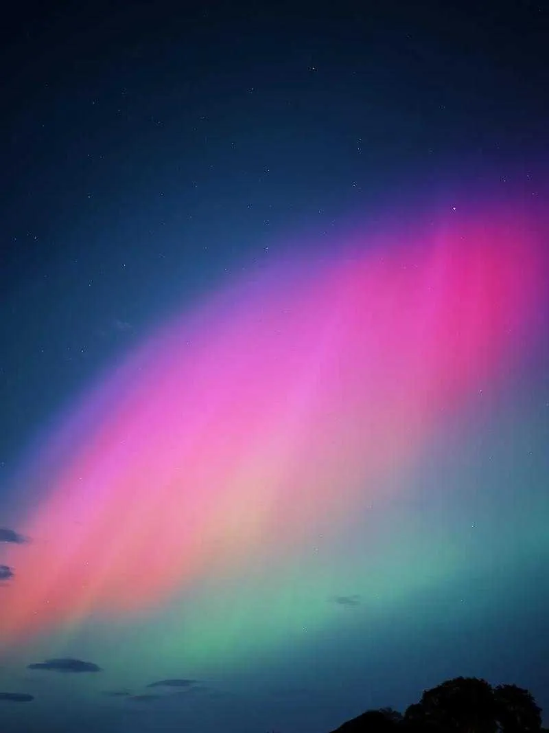 1000012797.webp