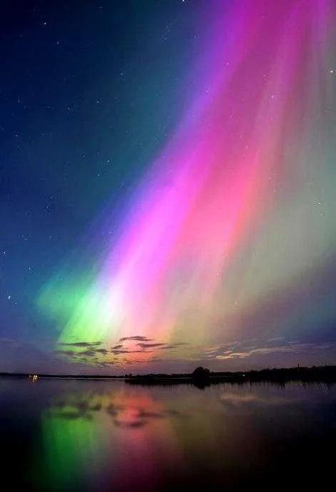 1000012794.webp