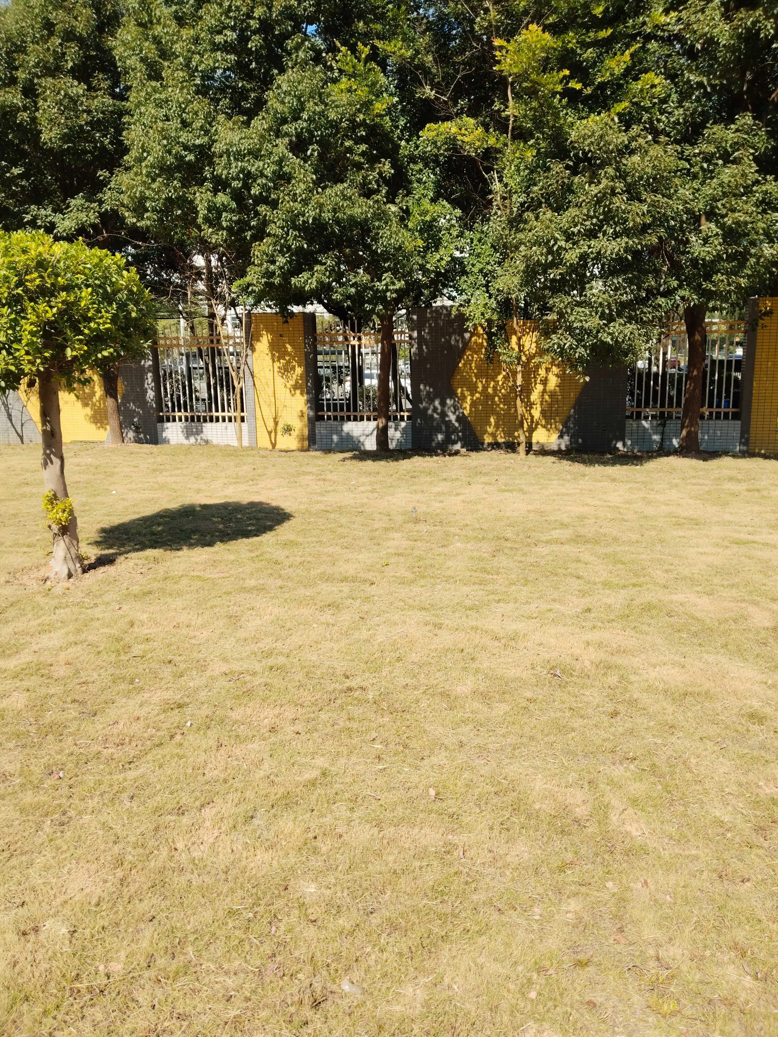 IMG_20241217_124146.webp