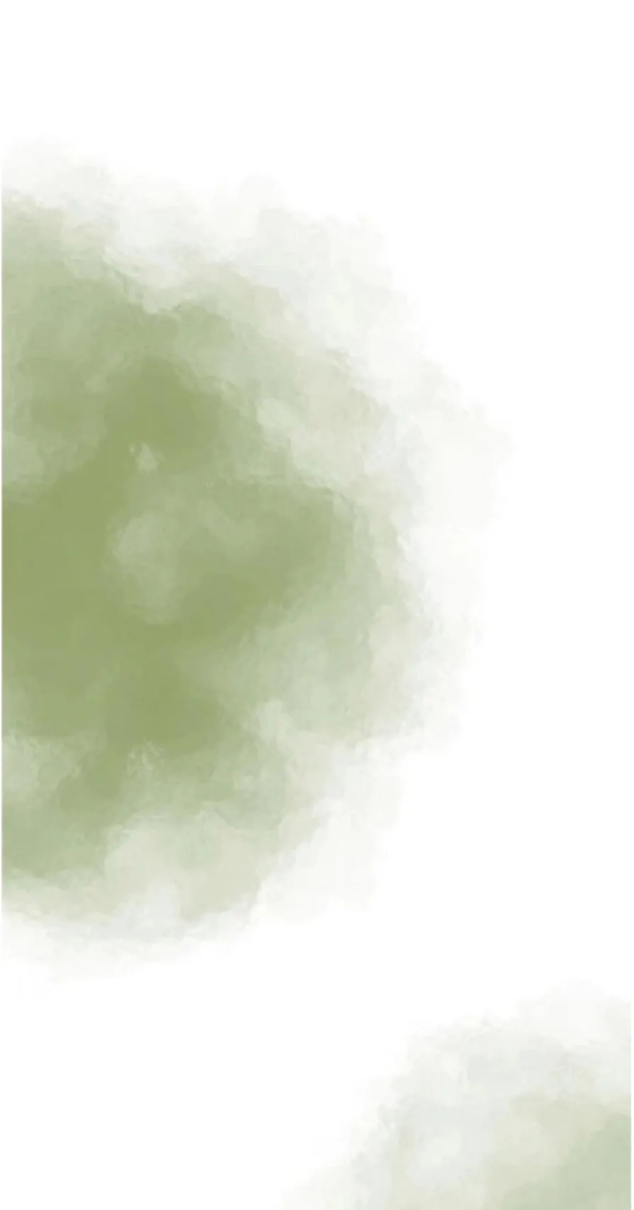 IMG_20241218_131651.webp