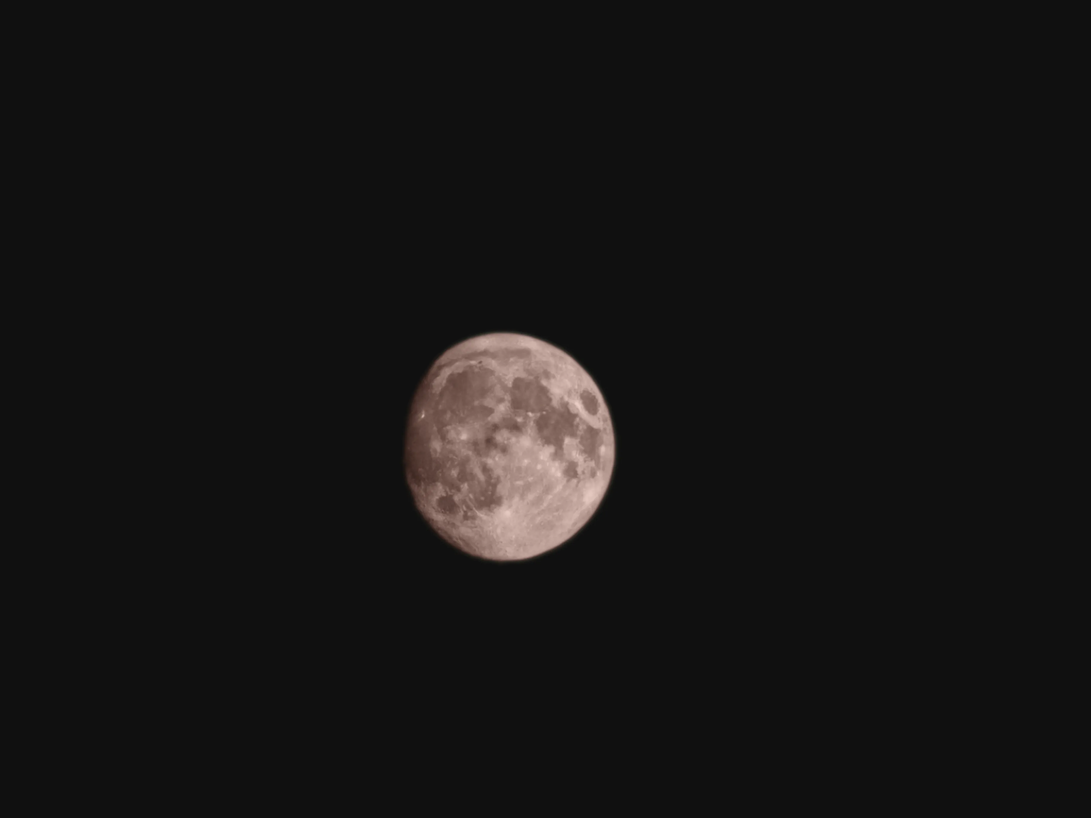 1000008067.webp