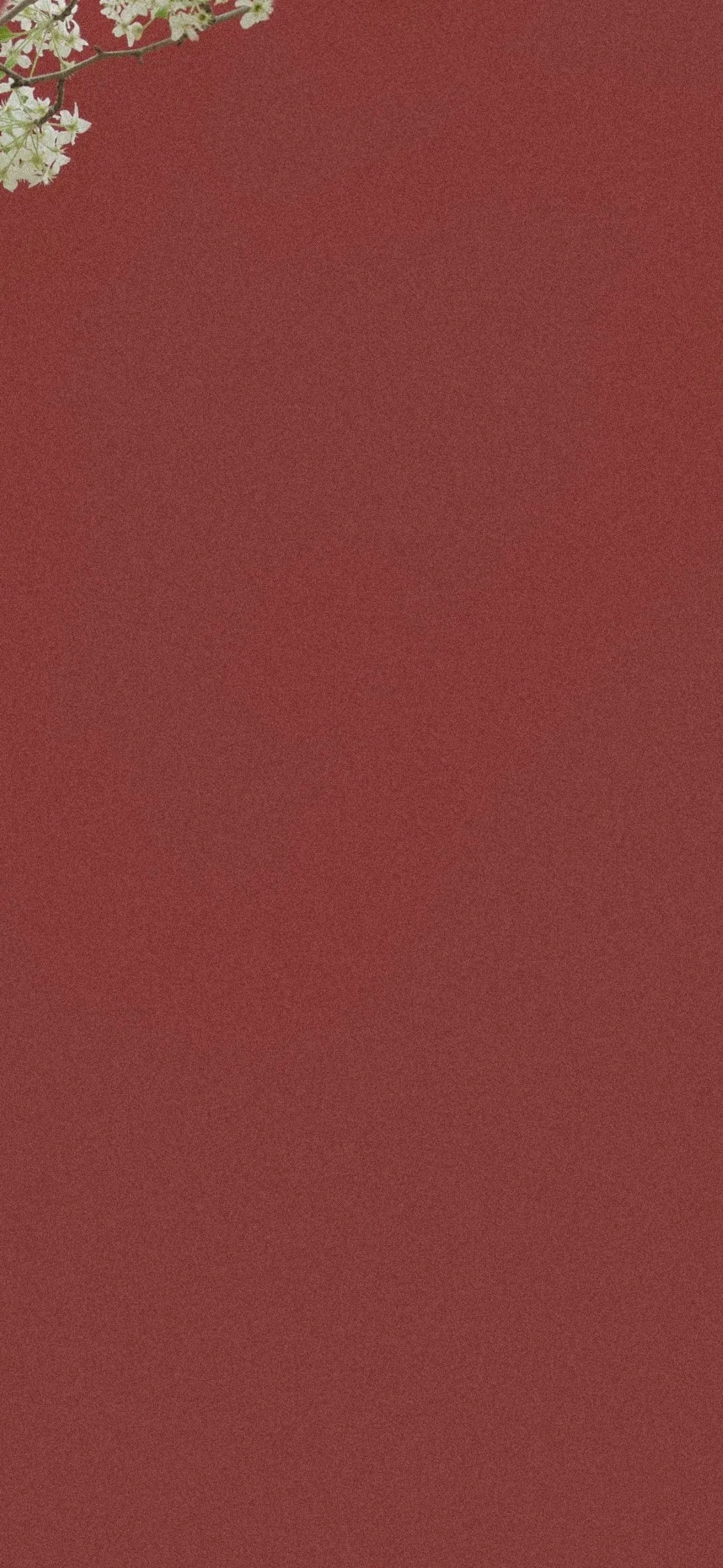 搜图神器_1734693435123.webp