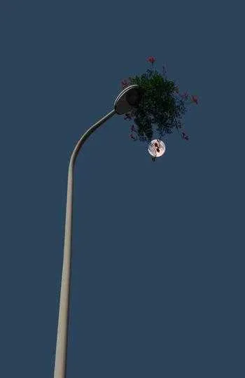 1000013210.webp