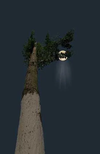 1000013209.webp