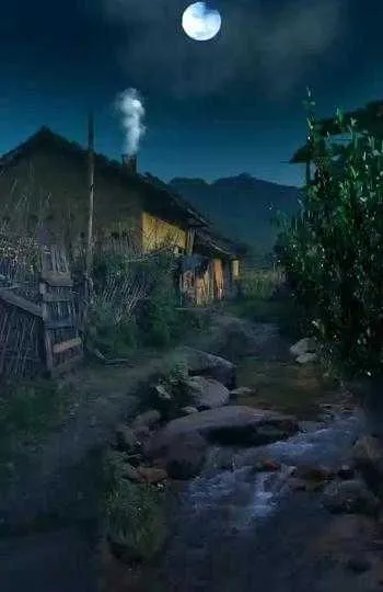 1000013208.webp