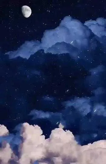 1000013206.webp