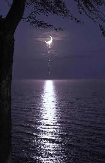 1000013203.webp