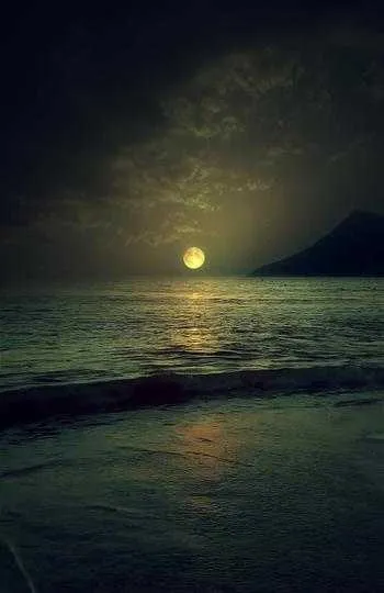 1000013202.webp