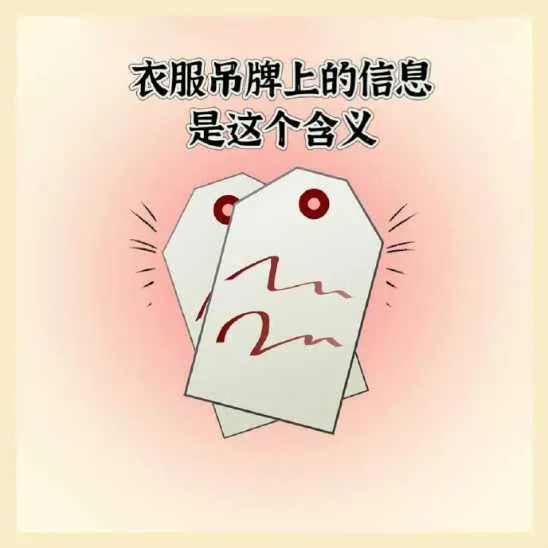 IMG_20241222_005932.webp