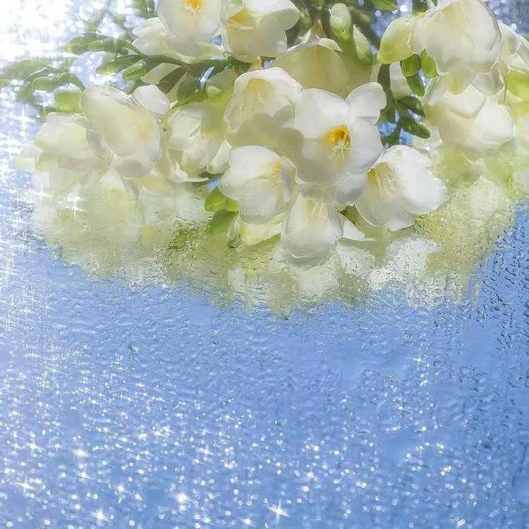 1000013533.webp