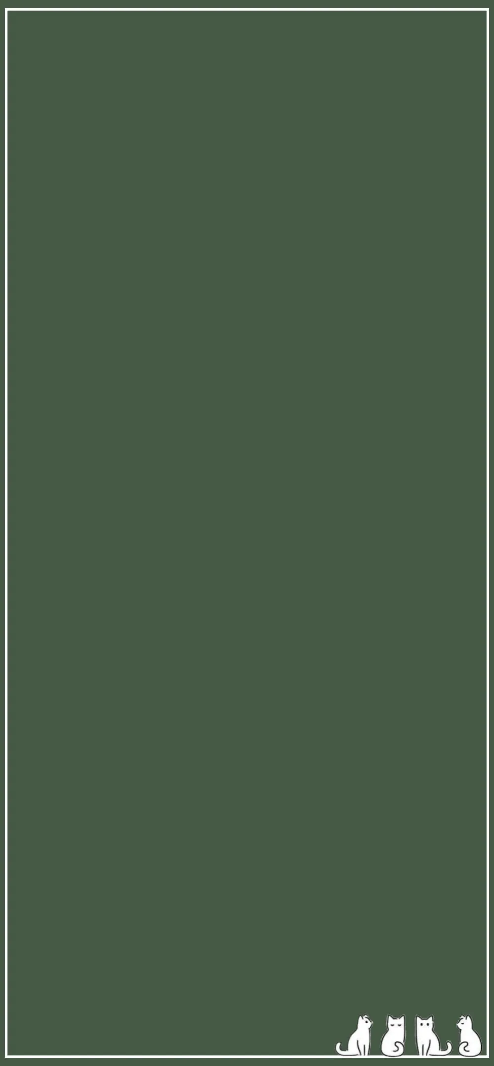 7.webp