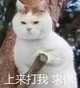 v2-2c9d916452a04caa20cf1fd13d98f429_1440w.webp