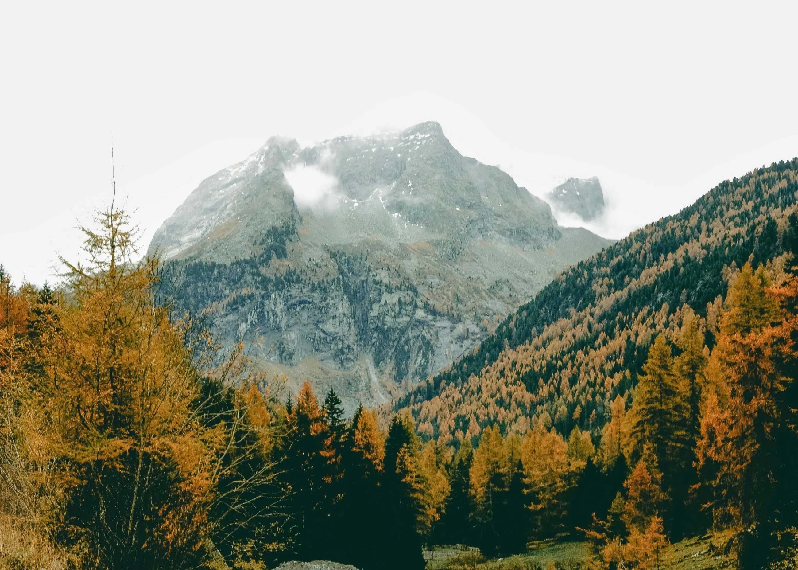 1000013716.webp
