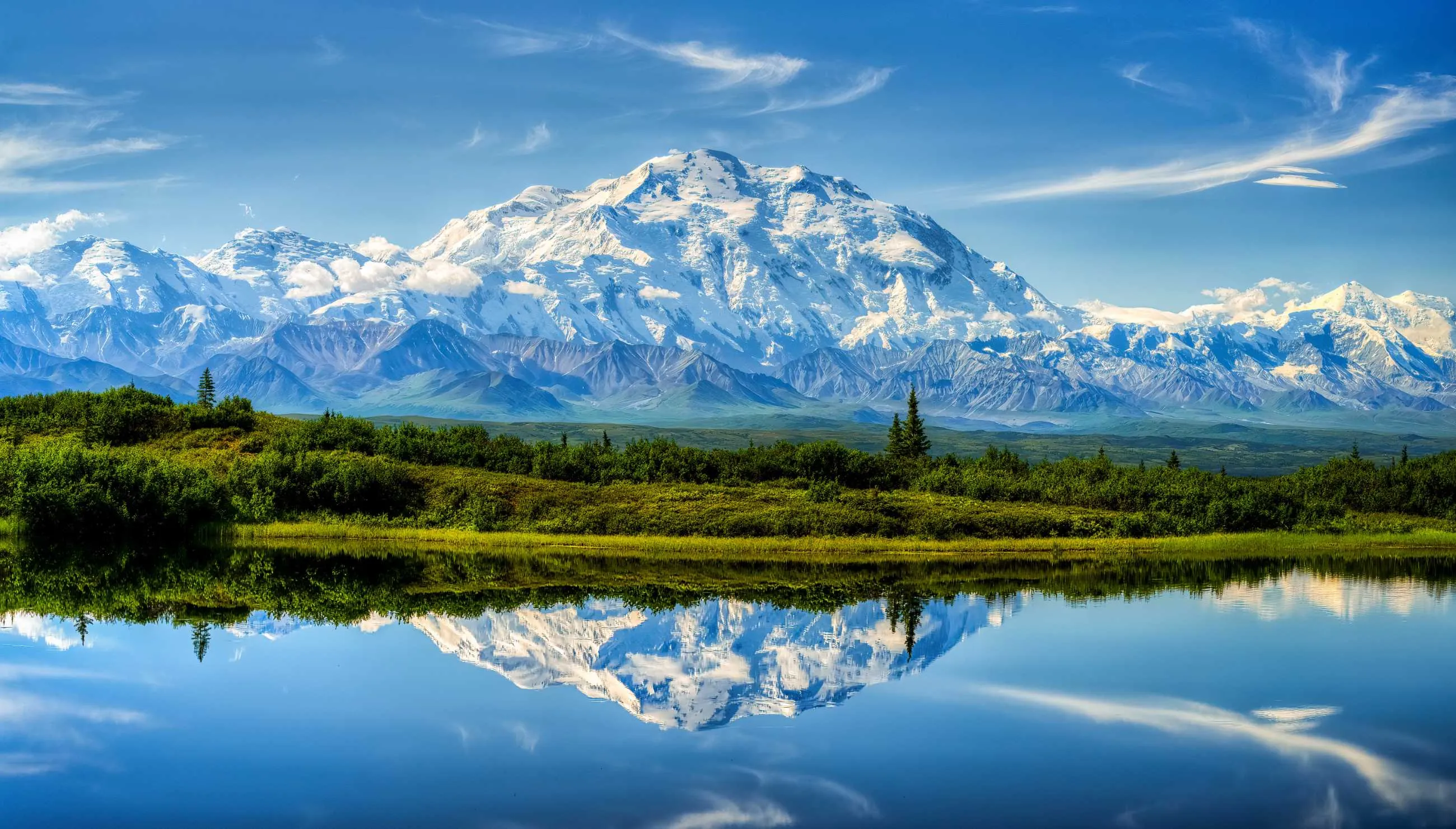 1000013737.webp