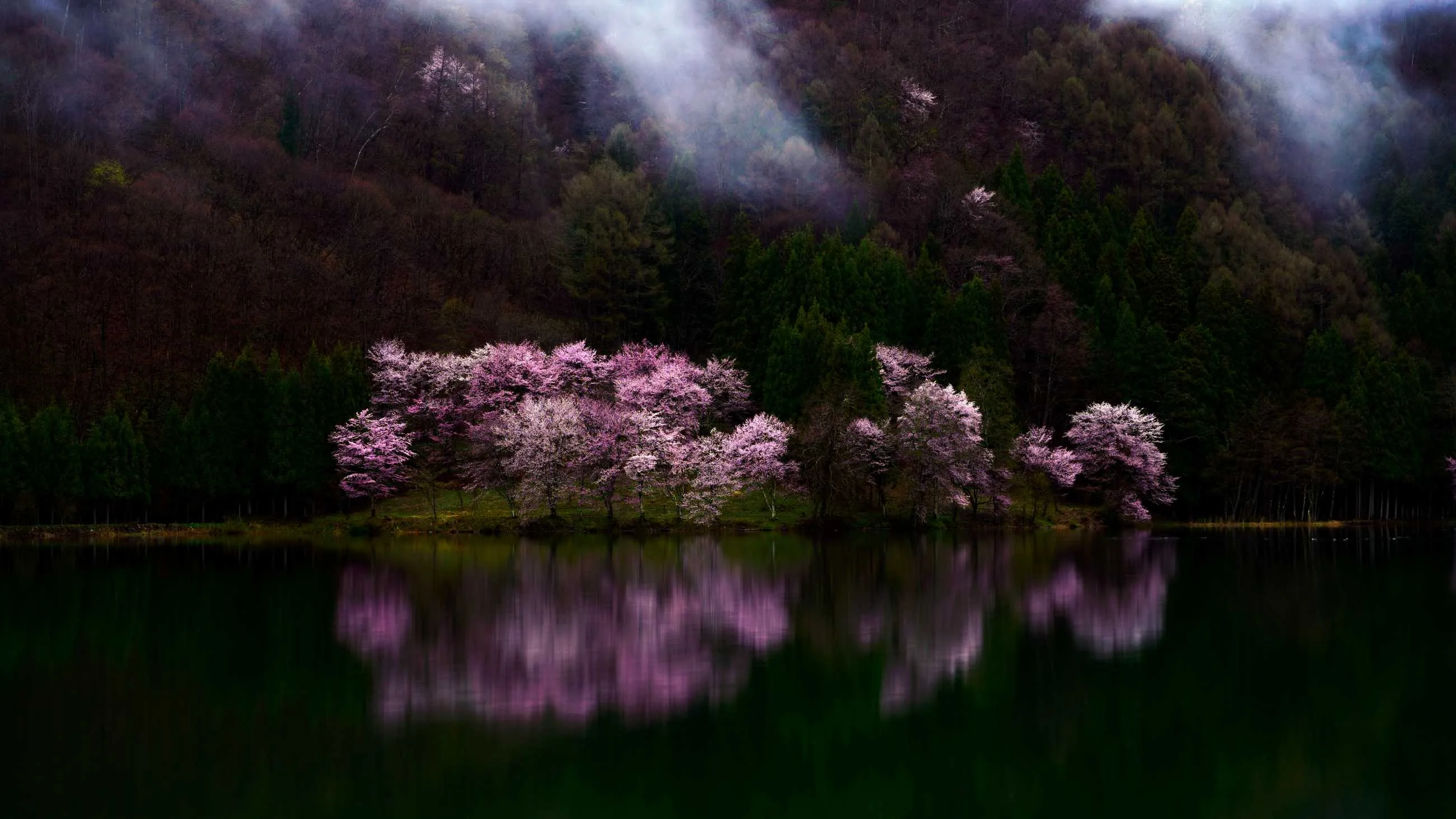 1000013709.webp
