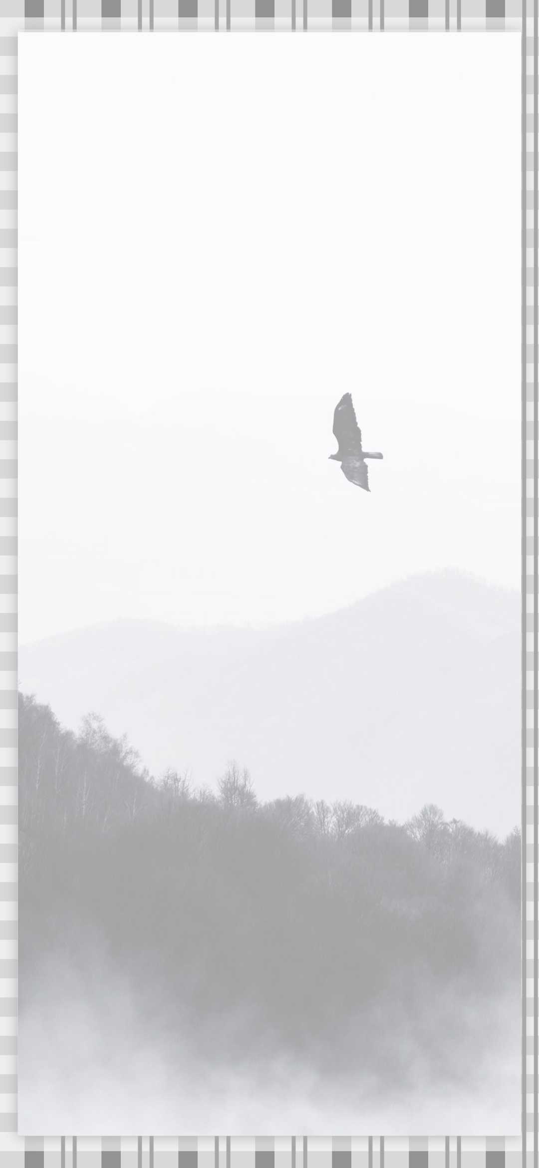 搜图神器_1734870172674.webp