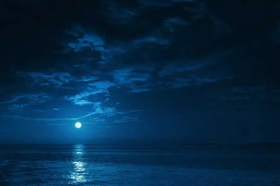 1734871749664.webp