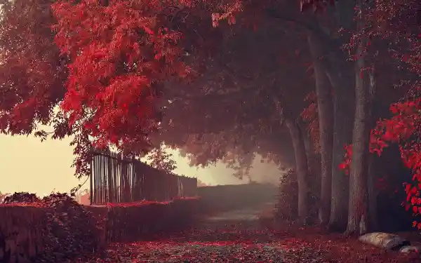 1734871675205.webp