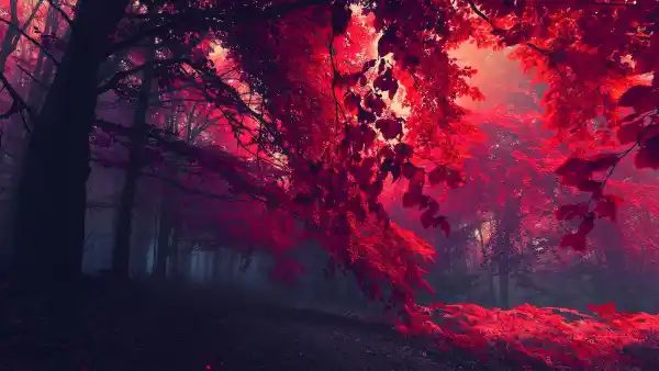 1734871654134.webp
