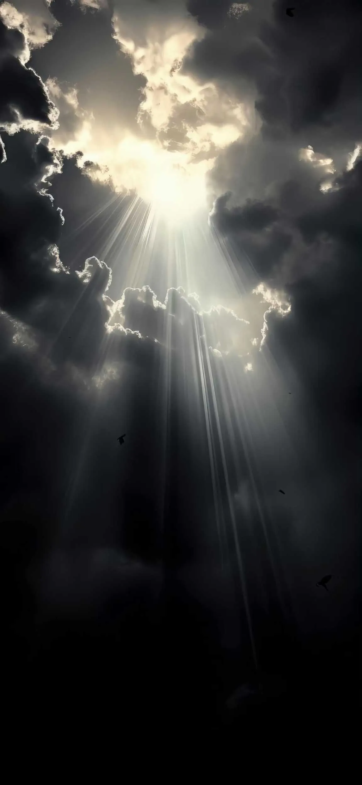 1000007306.webp