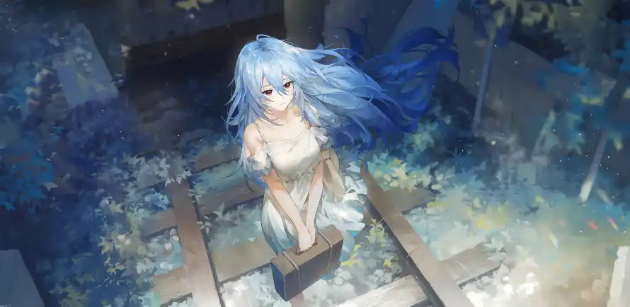 1734996170591.webp