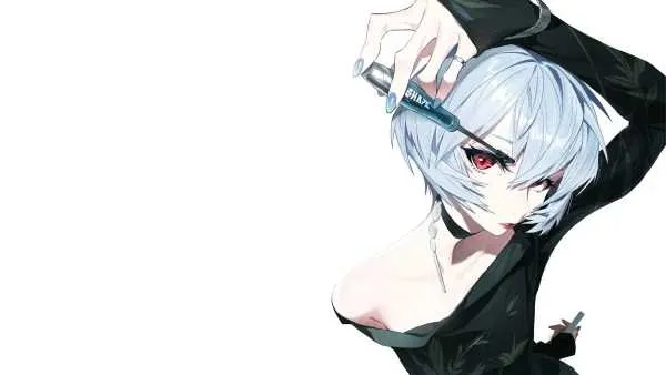 1734996169968.webp