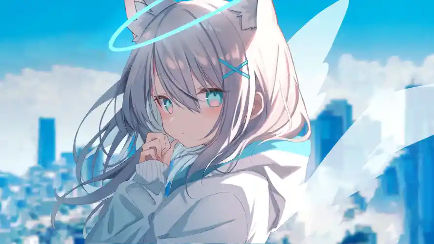 1734996148006.webp