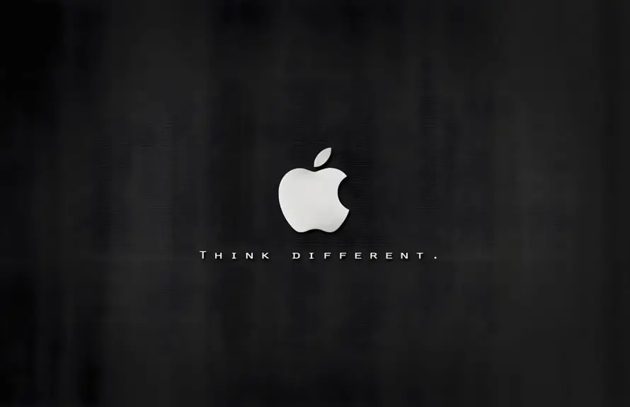 1734996098773.webp